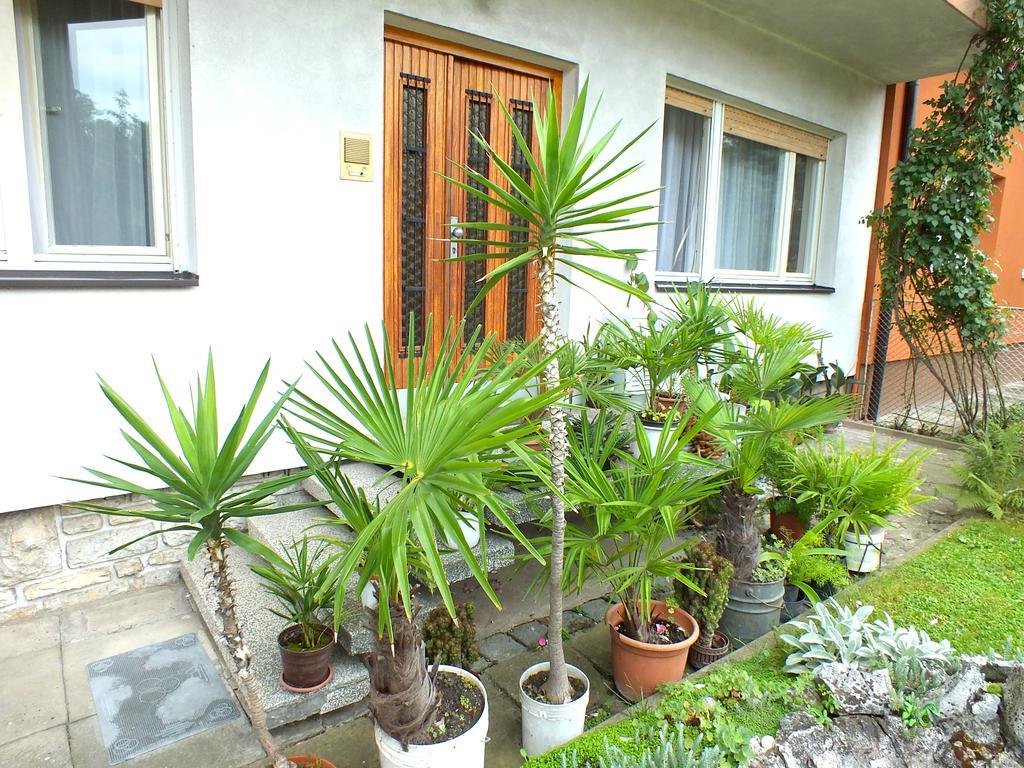 Biba Rooms Karlovac Bagian luar foto